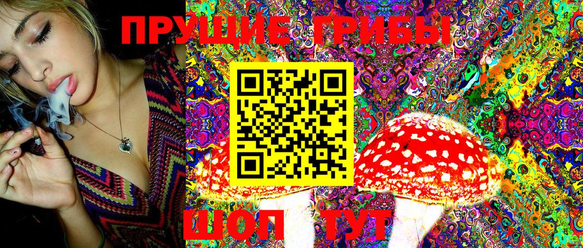 Протвино  Галлюциногенные грибы Magic Shrooms  Вход с VPN 